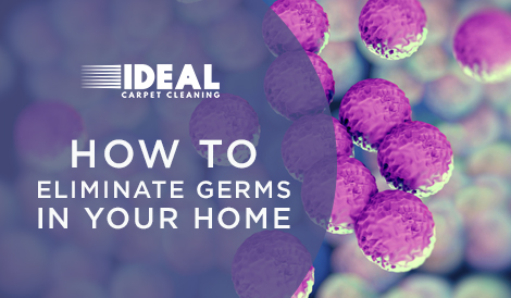 elimate-germs-in-your-home