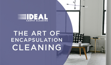 encapsulation-cleaning