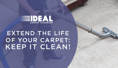keep-your-carpets-clean