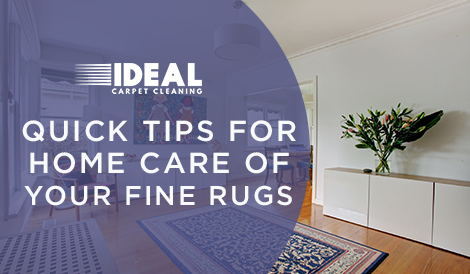 home-care-fine-rugs