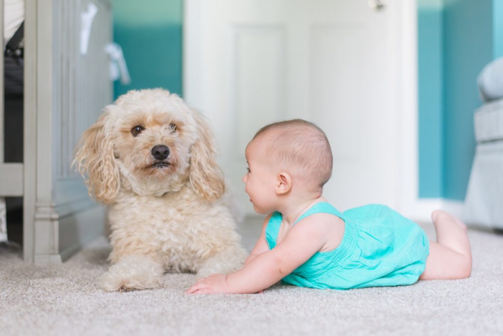 carpet with dog and baby on it