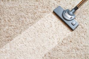 a vacuum cleaning a carpet